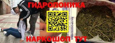 молекула духа Бийск