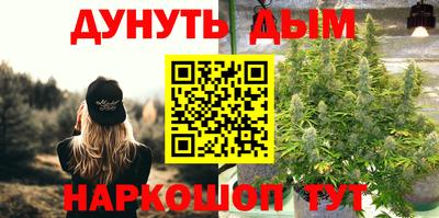 молекула духа Бийск
