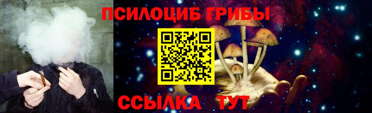Галлюциногенные грибы GOLDEN TEACHER  Вход с VPN  Клинцы  Псилоцибиновые грибы мицелий 