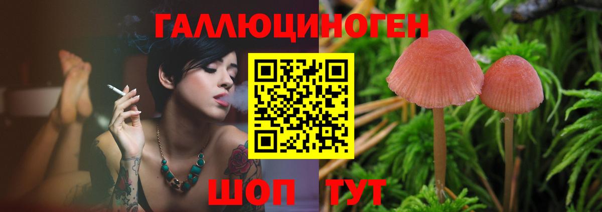 Галлюциногенные грибы MAGIC MUSHROOMS Клинцы
