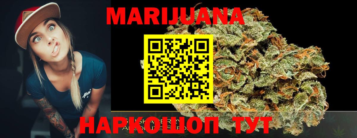 Бошки Шишки план Клинцы